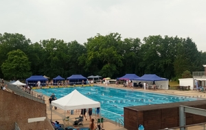 Championnat 77 Eté Open 50m. - 50 m